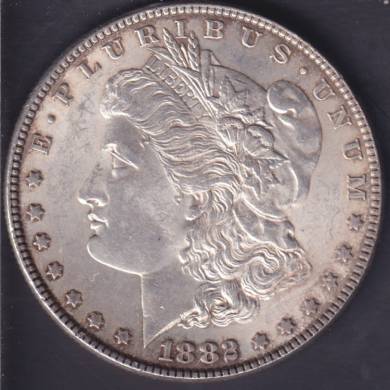 1882 - UNC - Morgan Dollar USA
