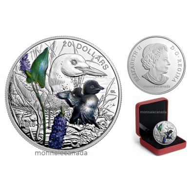 2016 - $20 - 1 oz. Pure Silver Coloured Coin – Baby Animals: Common Loon