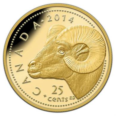 2014 - 25 Cents - Pice de 0,5 g en or pur - Le mouflon des montagnes Rocheuses