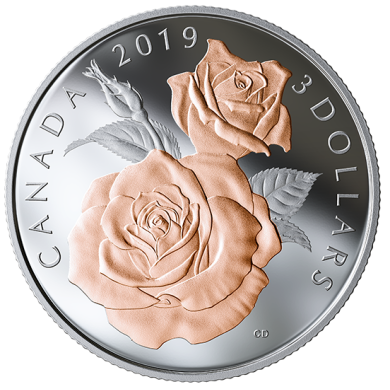 2019 - $3 - Pice en argent pur avec placage d'or rose slectif - Fleurs du rosier Queen Elizabeth