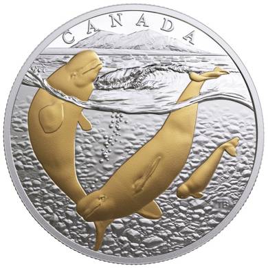2018 $20 Dollars Argent Fin - Les 3 Océans du Canada - Bélugas de L'Arctique