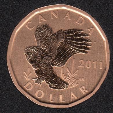 2011 - Specimen - Great Gray Owl - Canada Dollar