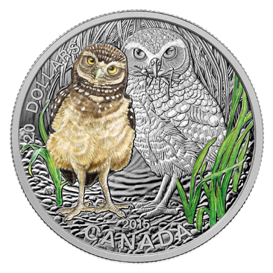 2015 - $20 - 1 oz. Fine Silver Coloured Coin & Stamp  Baby Burrowing Owl