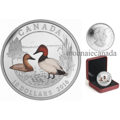 2016 - $10 - Pice colore de 1/2 oz en argent fin  Canards du Canada : Fuligule  dos blanc