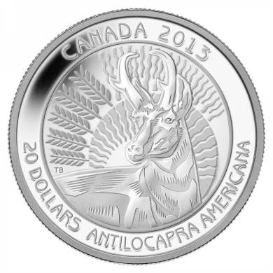 2013 - Fine Silver Coin - Pronghorn $20 - Mintage: 8500