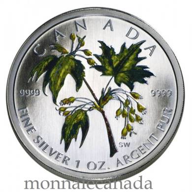 2003 - $5 - SUMMER COLORED MAPLE LEAF FINE SILVER .9999