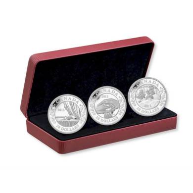 2013 - 3-Coin Set - $20 Fine Silver Royal Infant