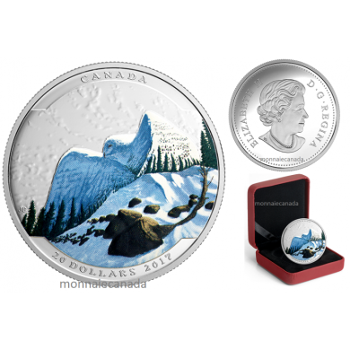 2017-$20 - 1 oz. Pure Silver Coloured Coin – Landscape Illusion: Snowy Owl