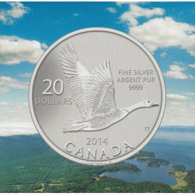 2014 - $20 pour $20 Pièce en argent fin - La bernache du Canada