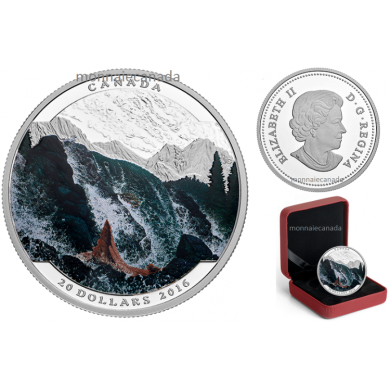 2016 - $20 - 1 oz. Fine Silver Coloured  Landscape Illusion - Salmon
