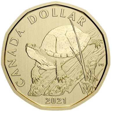 2021 - Specimen - Blanding's Turtle - Canada Dollar