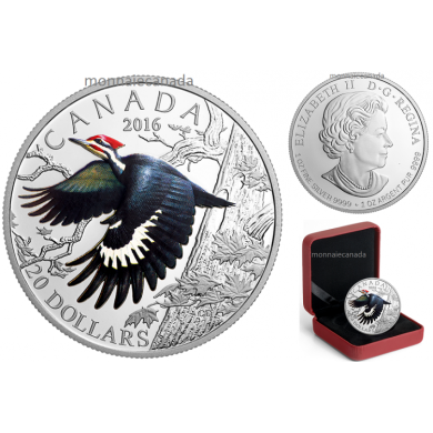 2016 - $20 - 1 oz. Pure Silver Coloured Coin – Colourful Birds of Canada: Pileated Woodpecker