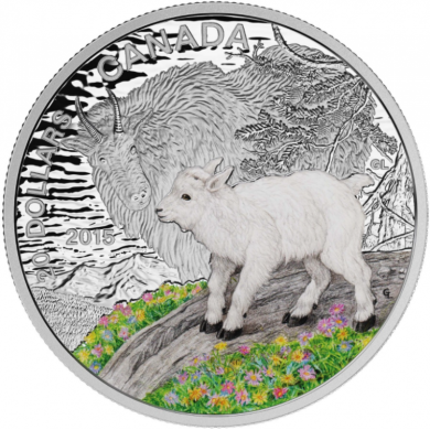 2015 - $20 - Pice colore de 1 oz en argent fin & Timbre - Petits du monde animal : La chvre de montagne