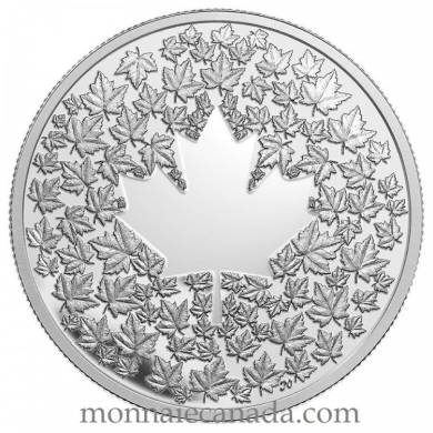 2013  - $3  fine silver coin - Maple leaf impression