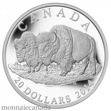 2014 - $20 - Pièce de 1 oz en argent fin - Le bison : un couple majestueux