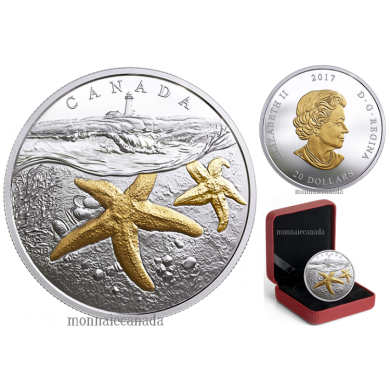 2017 - $20 - 1 oz. Pure Silver Gold-Plated Coin - From Sea To Sea To Sea: Atlantic Starfish