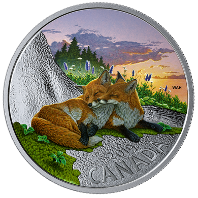 2019 - $20 - 1 oz. Pure Silver Coloured Coin - The Fox: Canadian Fauna