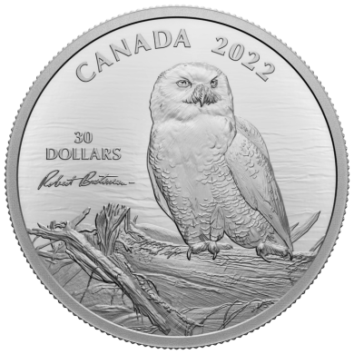 2022 - $30 - 2 oz. Fine Silver Coin  Snowy Owl on Driftwood by Robert Bateman