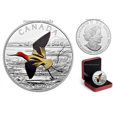 2016 - $20 - Pice colore de 1 oz en argent pur  Oiseaux colors du Canada : L'avocette d'Amrique