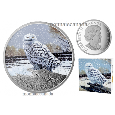 2016 - $20 - 1 oz. Fine Silver Coloured Coin - Snowy Owl