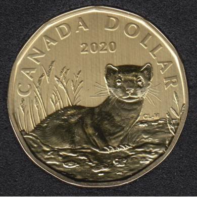 2020 - Specimen - Black-Footed Ferret - Canada Dollar