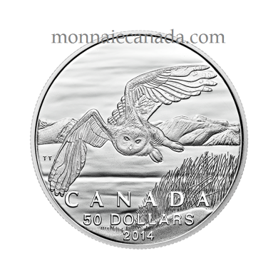 2014  $50 Dollars Fine Silver 99,99% - Snowny Owl