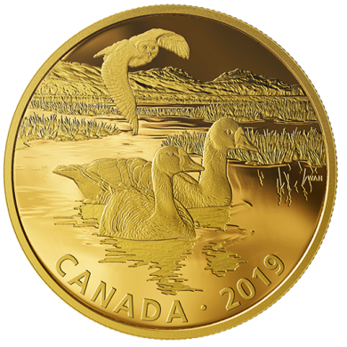 2019 - $30 - 2 oz. Pure Silver Gold-Plated Coin - Golden Reflections - Predator and Prey: Snowy Owl and Greater White-fronted Geese