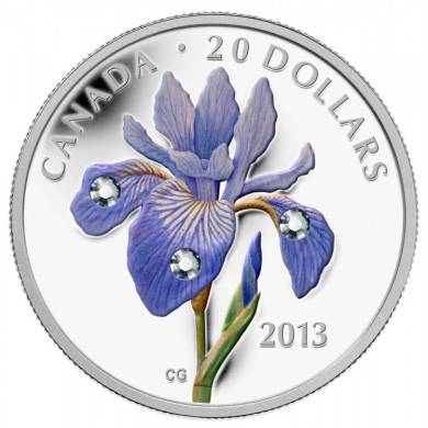 2013 - Pièce en argent fin - Iris versicolore $20