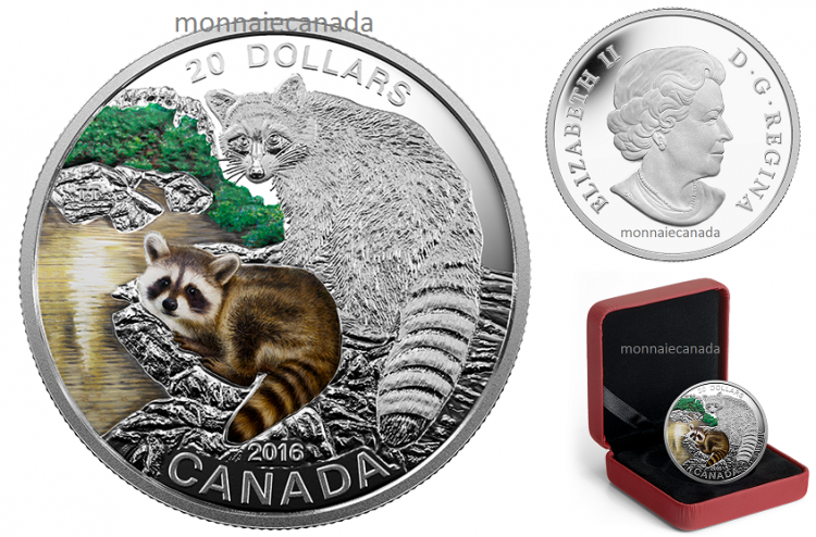 2016 - $20 - 1 oz. Fine Silver Coloured – Baby Animals - Baby Raccoon