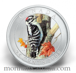 2008 Canada 25 cents Pic Mineur - Oiseau