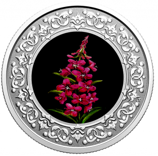 2021 - $3 - Pièce colorée en argent pur – Emblèmes floraux du Canada – Yukon : Épilobe à feuilles étroites