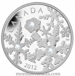 2012 - $20 - Fine Silver Coin - Holiday Snowstorm