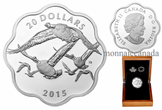 2015 - $20 - Fine Silver Coin - Master of the Sky - Canada Goose