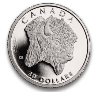 1997 Canada $30 Dollars Platine Fin - Le Bison des Bois - Sans Taxe