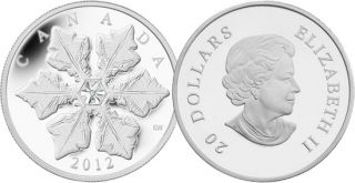 2012 - $20 - Fine Silver Coin - Crystal Snowflake