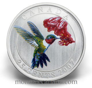 2007 - colibri a gorge rubis-  25 cents colorée
