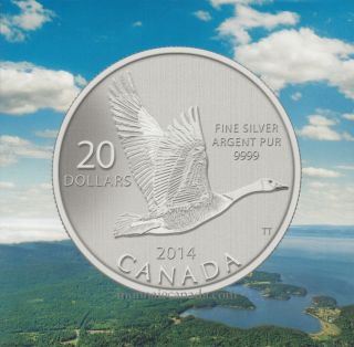2014 - $20 for $20 Fine Silver Coin - Canada Goose