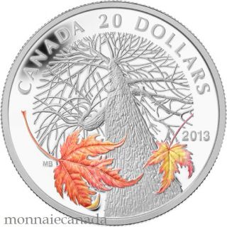 2013 - Fine Silver Coin $20 - Canadian Maple Canopy (Autumn) - Mintage: 7500